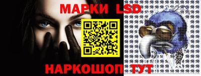 скорость Заводоуковск