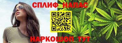 молекула духа Жуковский